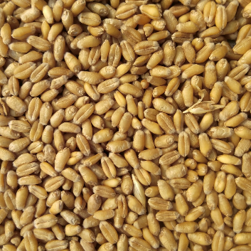 Agricultural Products