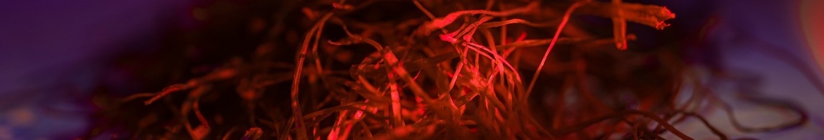 Iran Saffron, Buy Iran Saffron, Iran Saffron Supplier