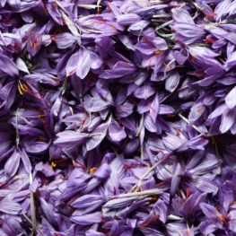 Saffron